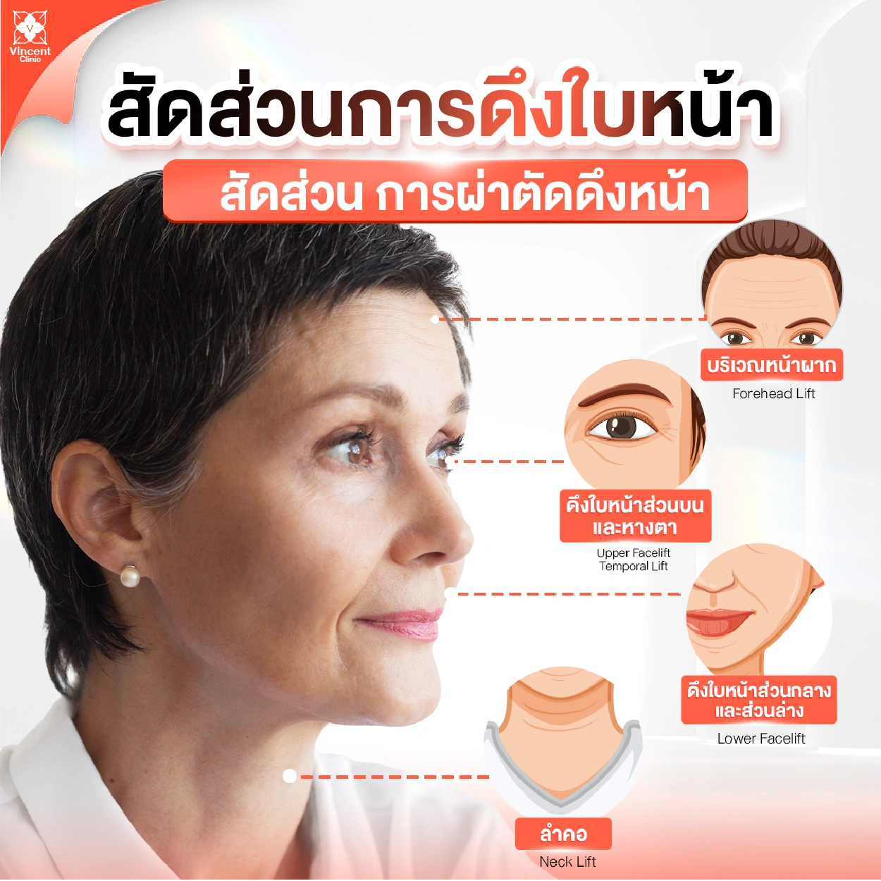 สัดส่วนการดึงใบหน้า