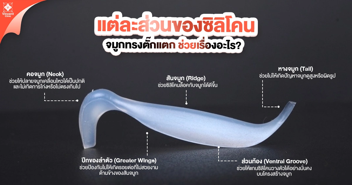 แต่ละส่วนของซิลิโคนจมูกทรงตั๊กแตนช่วยเรื่องอะไร?