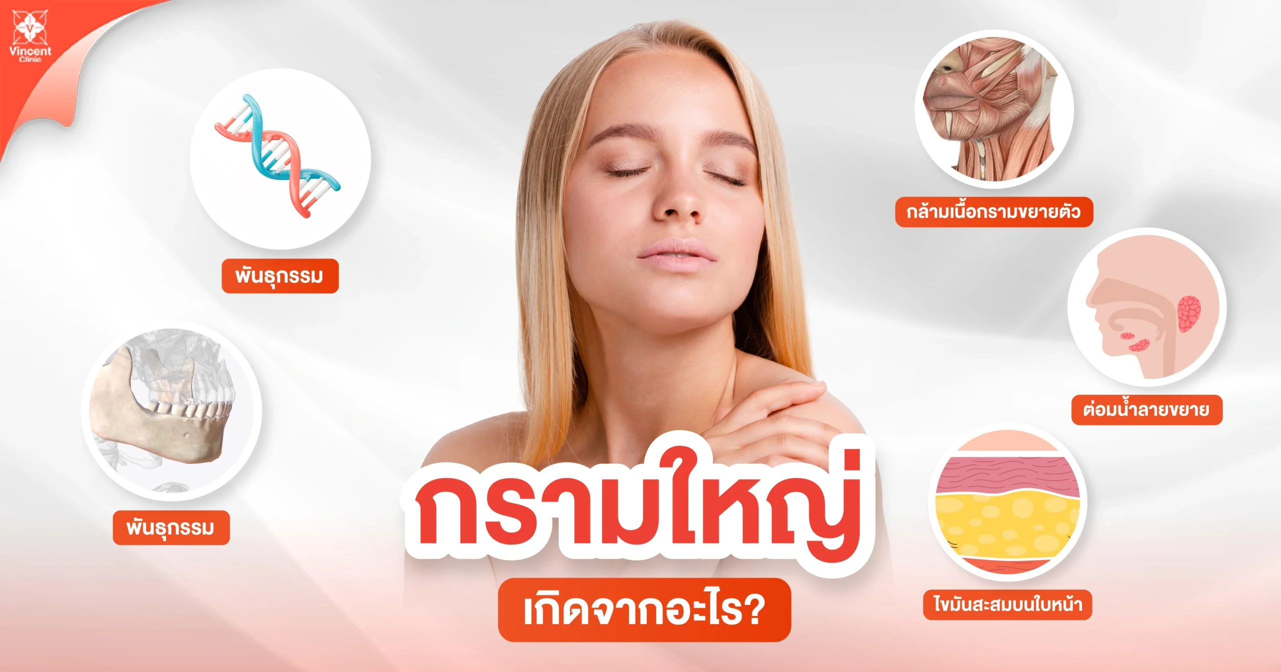 กรามใหญ่เกิดจากอะไร
