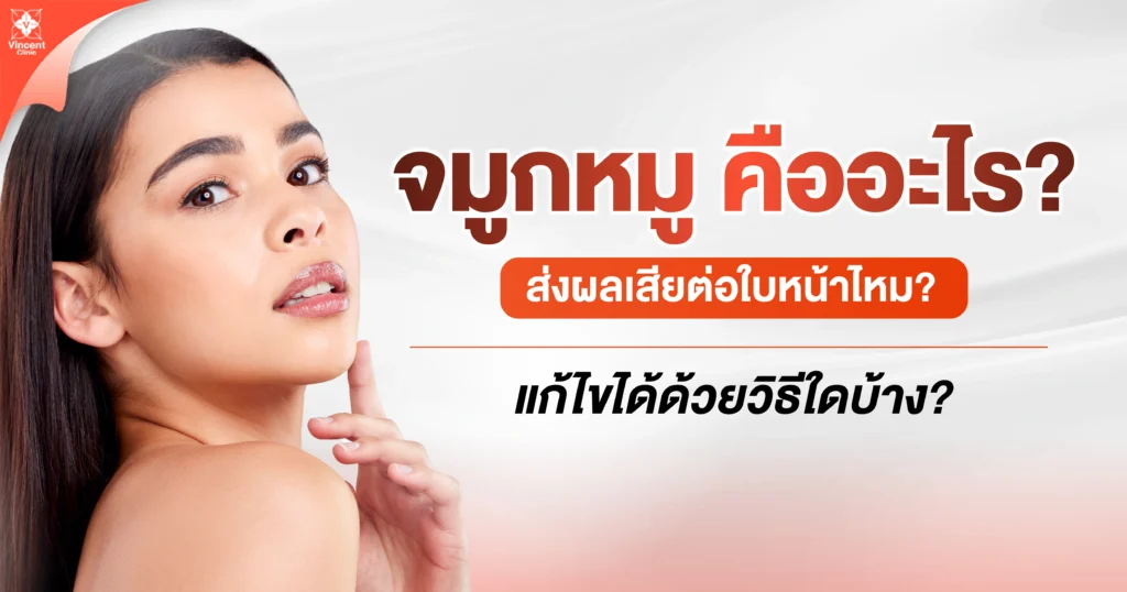 จมูกหมูคืออะไร