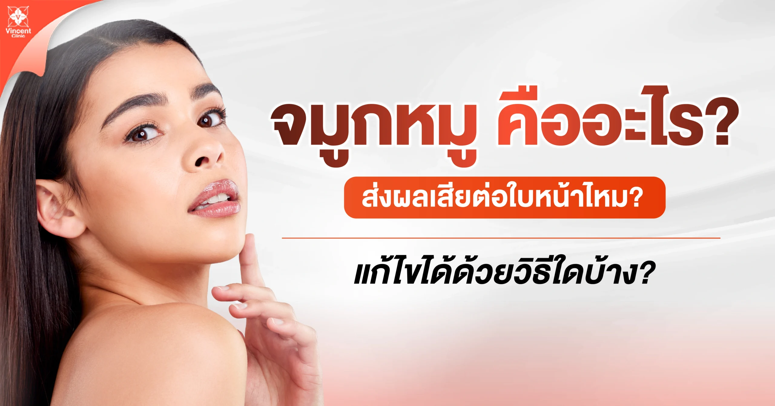 จมูกหมูคืออะไร