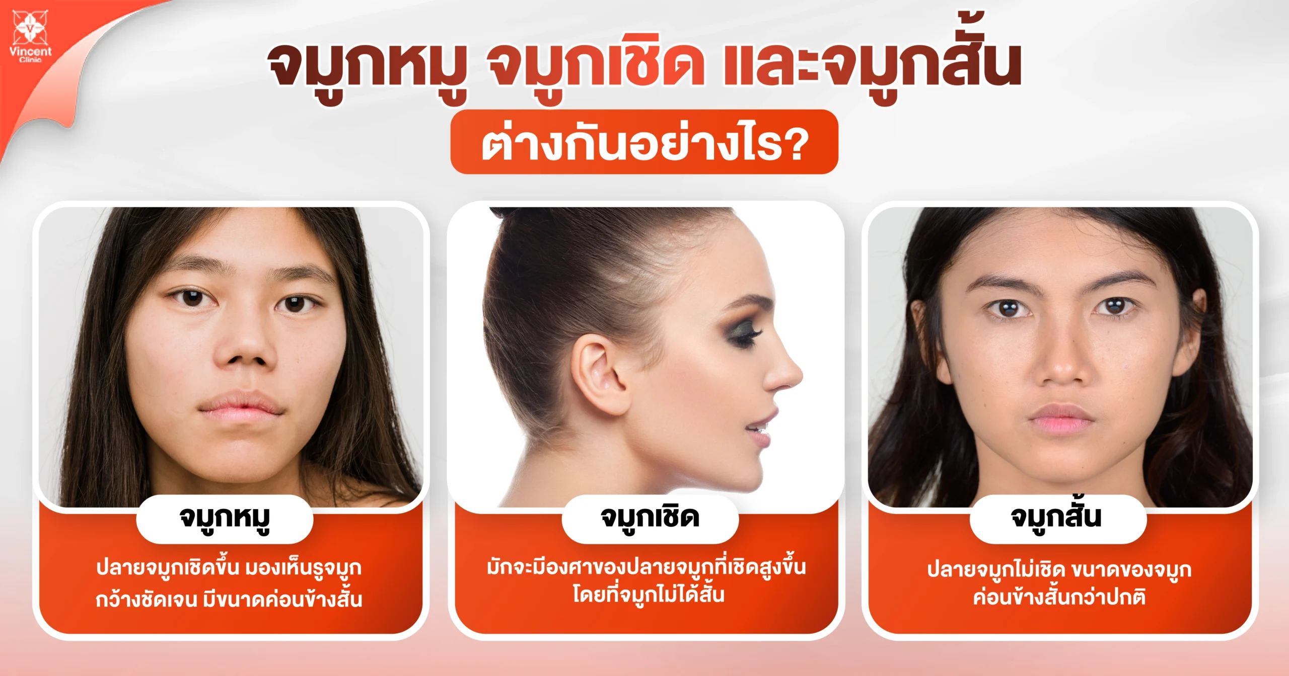 จมูกหมู จมูกเชิด จมูกสั้น ต่างกันอย่างไร