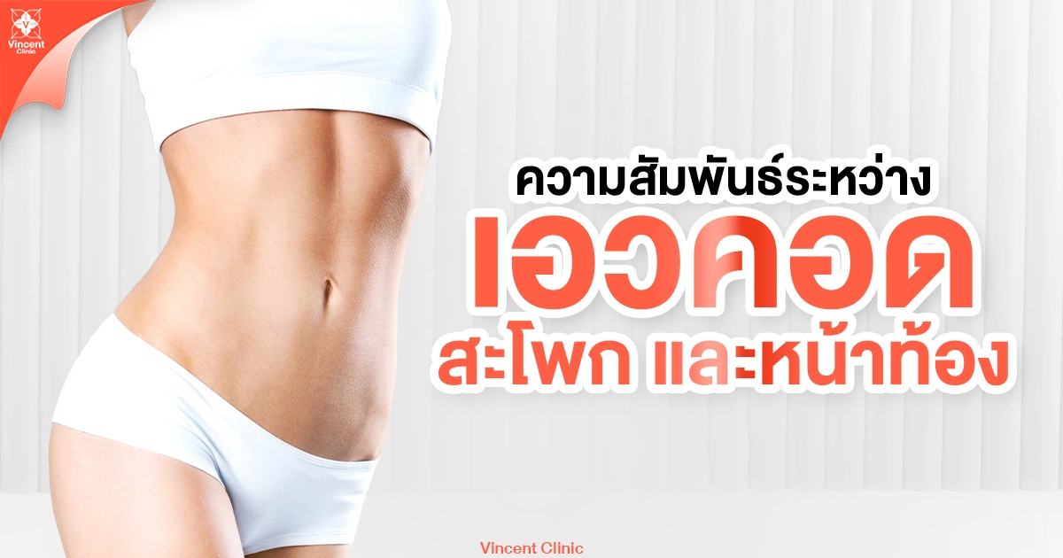 ความสัมพันธ์ระหว่างเอวคอด สะโพก และหน้าท้อง