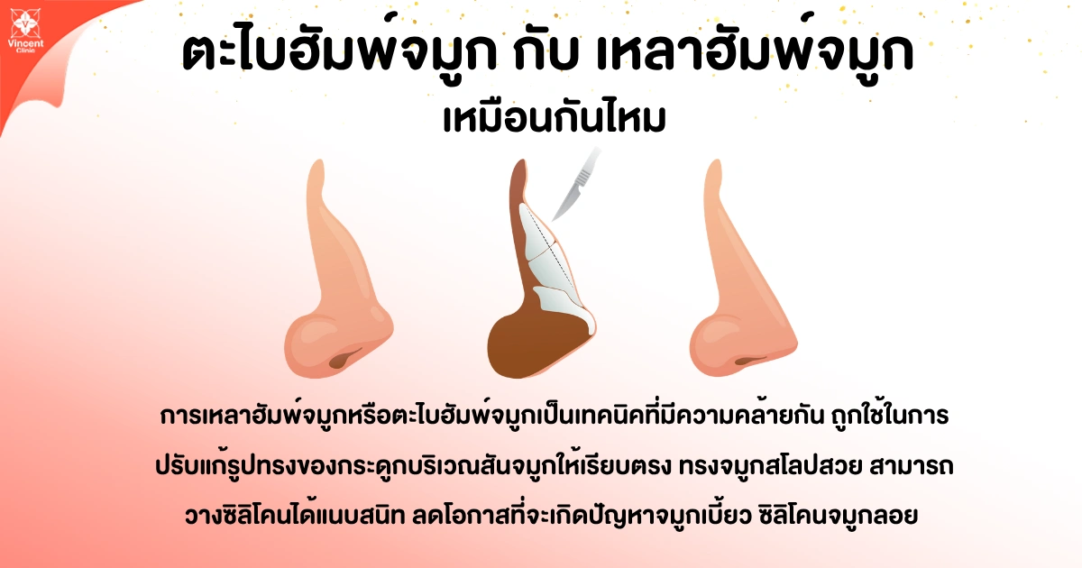 ตะไบฮัมพ์จมูกกับเหลาฮัมพ์จมูกเหมือนกันไหม