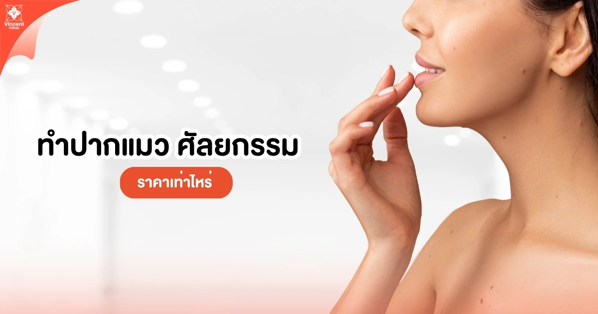 ทำปากแมวราคาเท่าไหร่